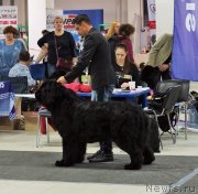 Превью фото № 240183