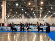 Превью фото № 240188