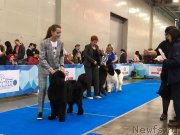 Превью фото № 240190