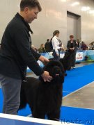 Превью фото № 240192