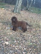 Превью фото № 240194