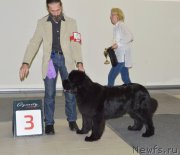 Превью фото № 240202