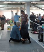 Превью фото № 240219