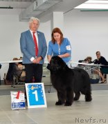 Превью фото № 240231