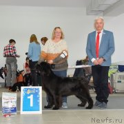 Превью фото № 240236