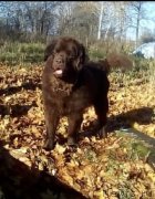 Превью фото № 240242