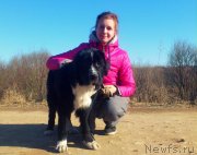 Превью фото № 240267