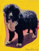 Превью фото № 240272