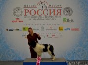 Превью фото № 240324