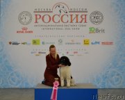 Превью фото № 240325