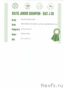 Превью фото № 240361