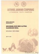 Превью фото № 240362