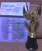 Превью фото № 240411