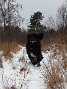 Превью фото № 240496