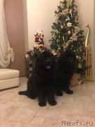 Превью фото № 240592