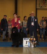 Превью фото № 240601