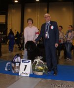 Превью фото № 240602