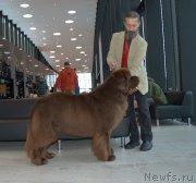 Превью фото № 240627