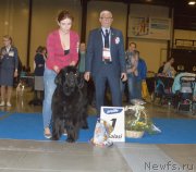 Превью фото № 240634