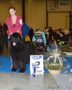 Превью фото № 240641