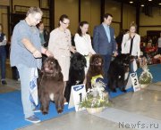 Превью фото № 240644