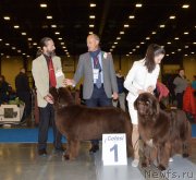 Превью фото № 240647