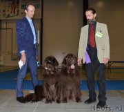 Превью фото № 240650