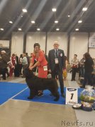 Превью фото № 240699