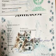 Превью фото № 240708