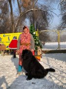 Превью фото № 240740