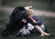 Превью фото № 240779