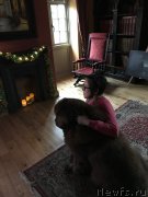 Превью фото № 240794