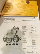 Превью фото № 240808