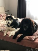 Превью фото № 240837