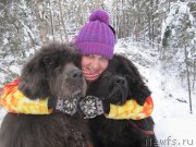 Превью фото № 240884