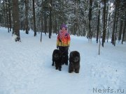 Превью фото № 240886