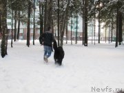 Превью фото № 240887