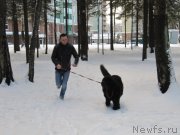 Превью фото № 240888