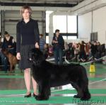 Превью фото № 24089