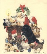 Превью фото № 240897