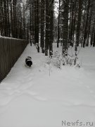 Превью фото № 240908