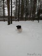 Превью фото № 240912