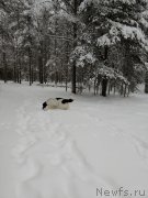 Превью фото № 240914