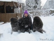 Превью фото № 240961