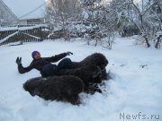 Превью фото № 240962