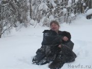 Превью фото № 240967