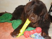 Превью фото № 240977