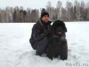 Превью фото № 240990