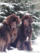 Превью фото № 241023