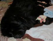 Превью фото № 241062